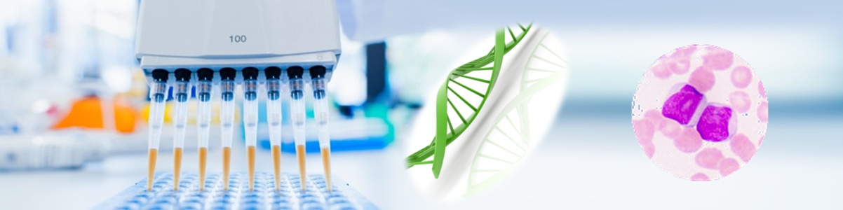 一步法哺乳動物細胞DNA純化試劑盒